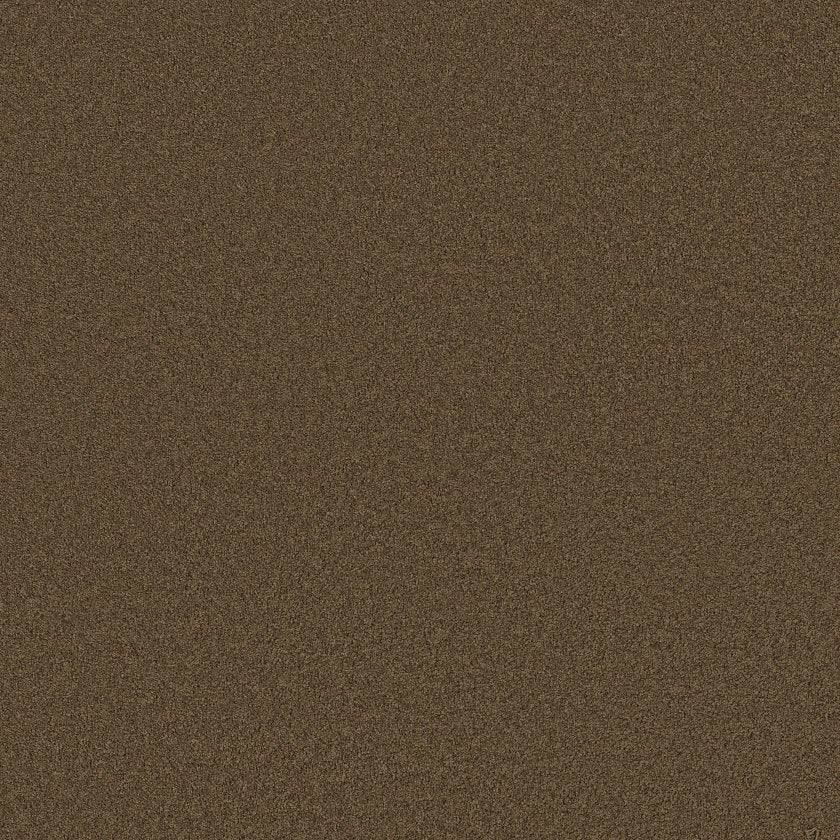 CASHMERE CLASSIC III