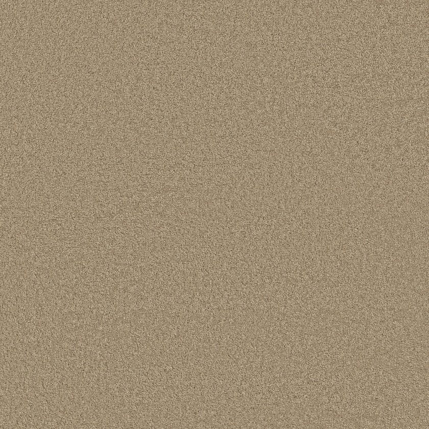 CASHMERE CLASSIC III