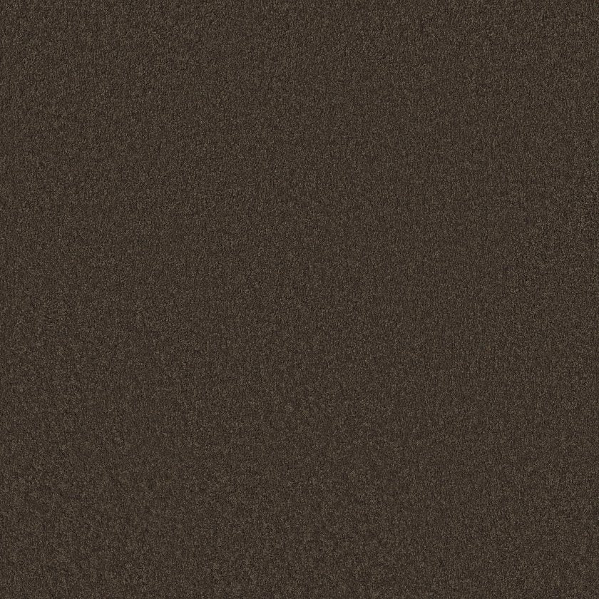 CASHMERE CLASSIC III