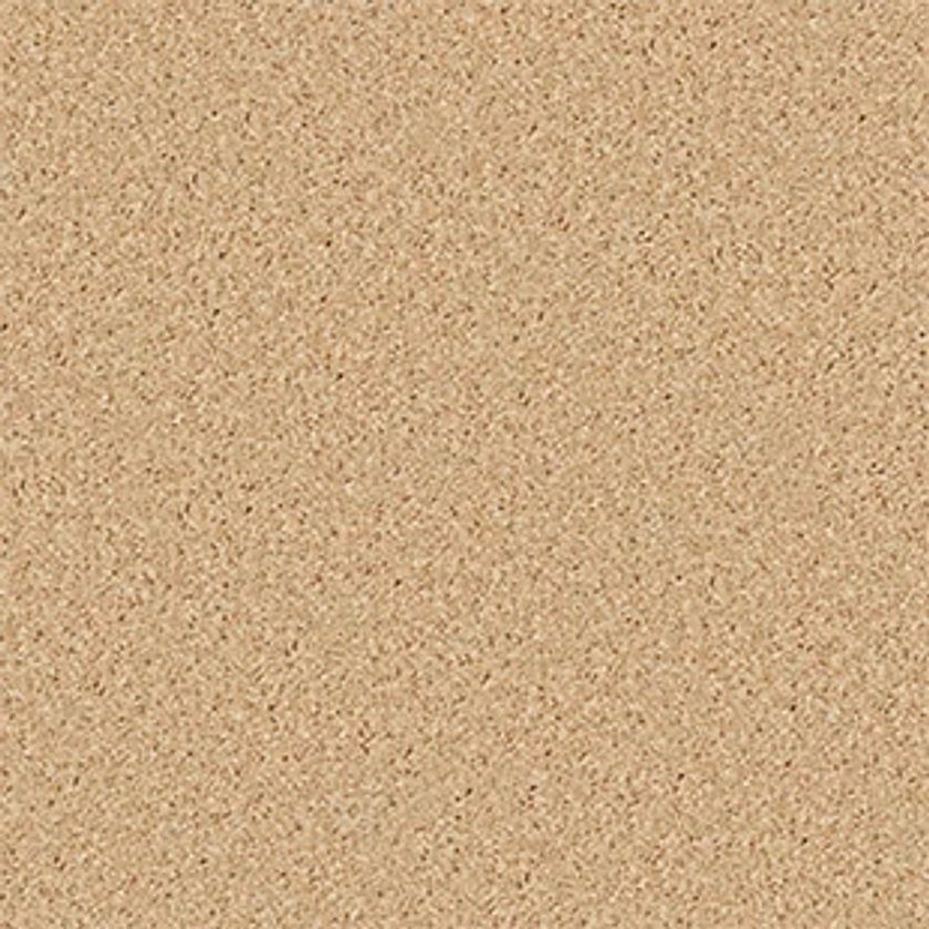 ALL STAR WEEKEND II 15'