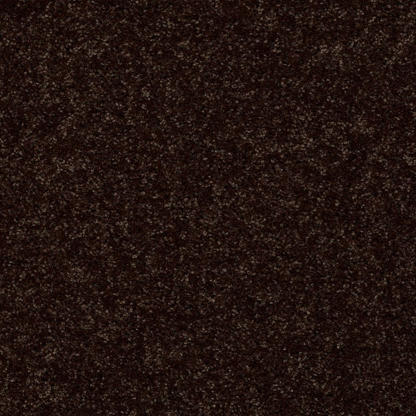 ALL STAR WEEKEND II 15'