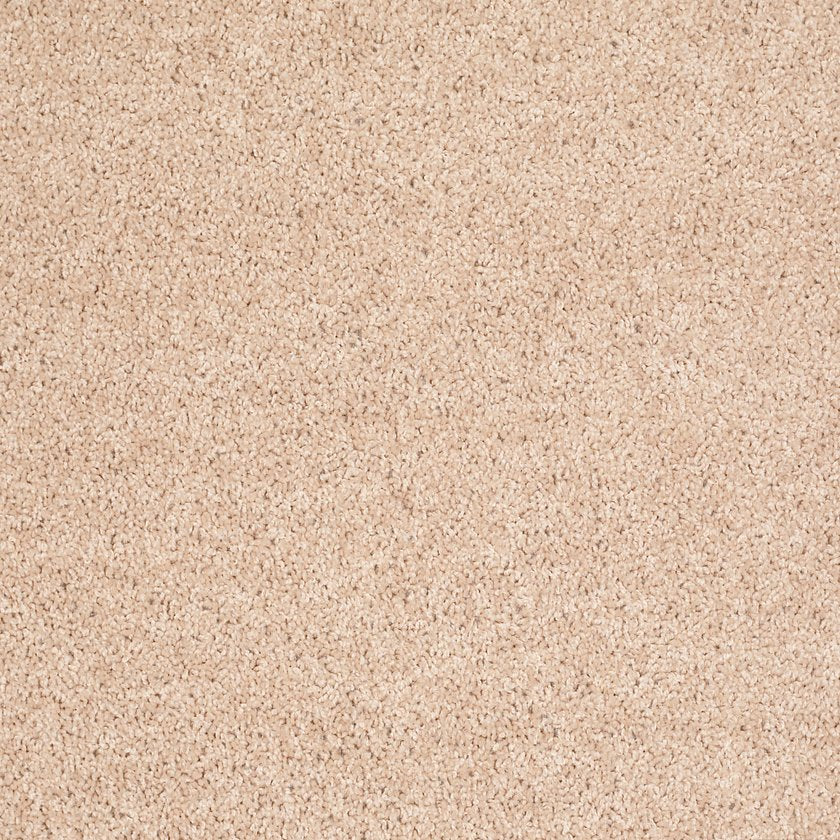 ALL STAR WEEKEND I 12'