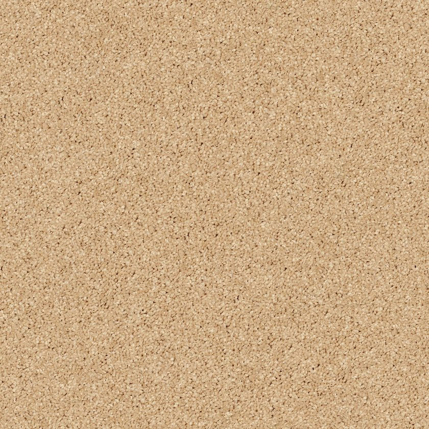 ALL STAR WEEKEND I 12'