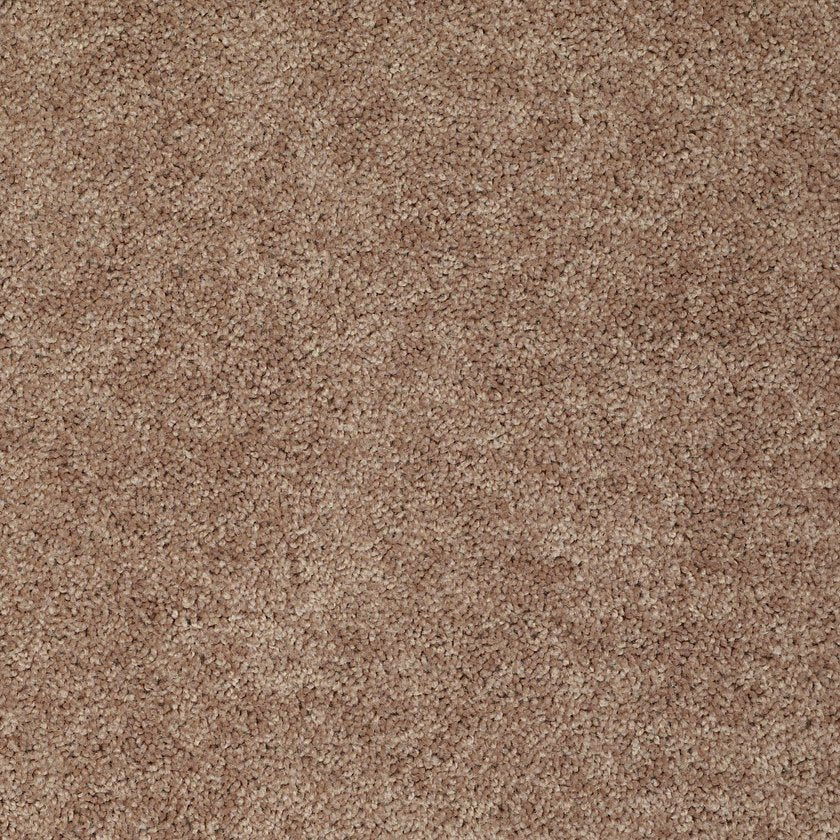 ALL STAR WEEKEND I 12'