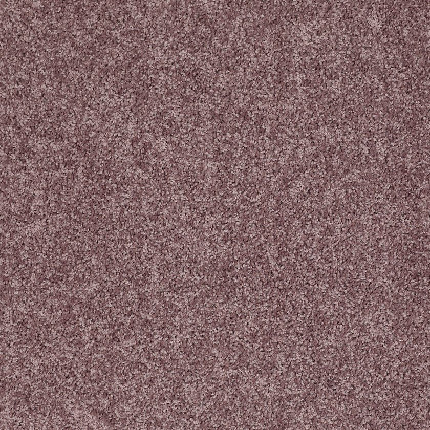 ALL STAR WEEKEND I 12'