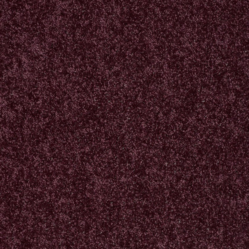 ALL STAR WEEKEND I 12'