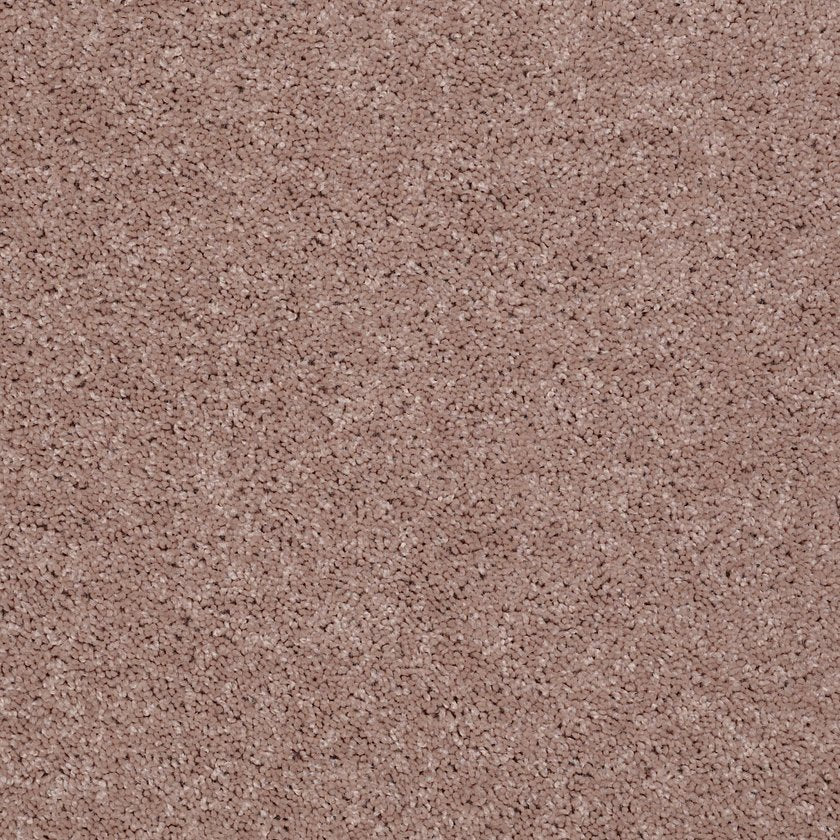 ALL STAR WEEKEND III 15'