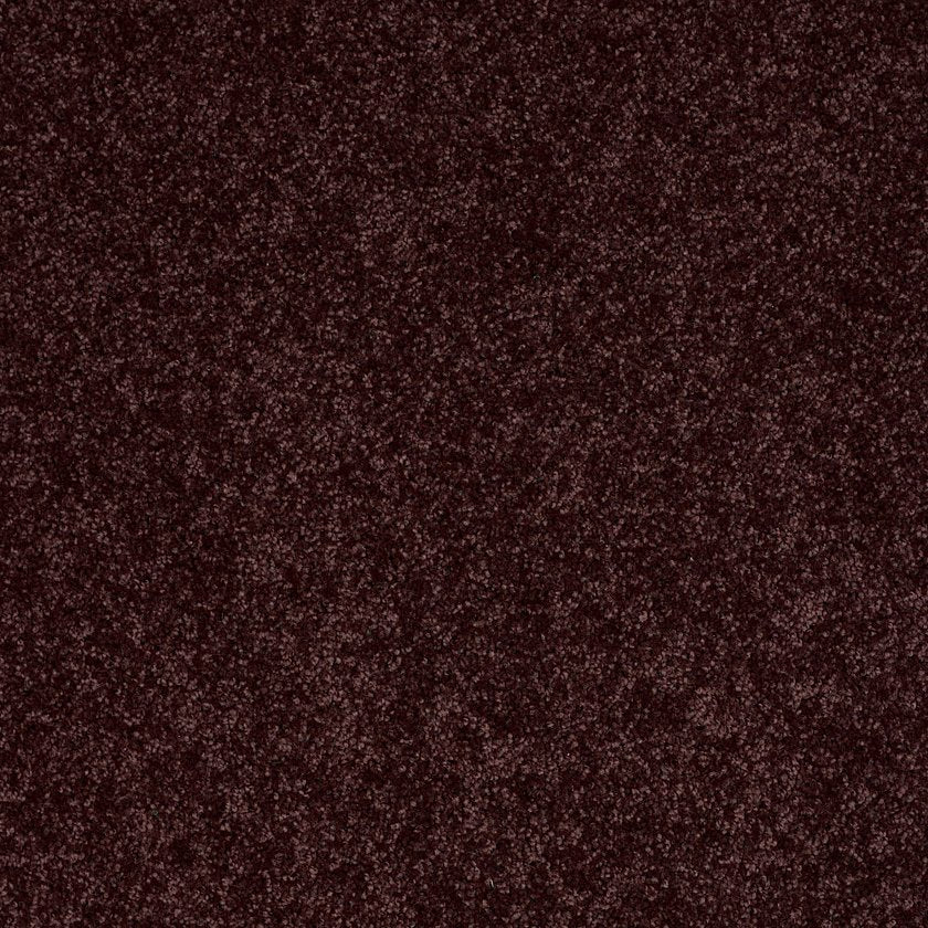 ALL STAR WEEKEND III 15'