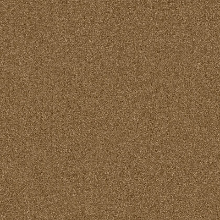 SANDY HOLLOW CLASSIC I 12'