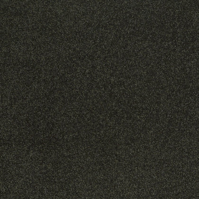 SANDY HOLLOW CLASSIC III 12'