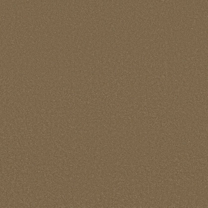 SANDY HOLLOW CLASSIC III 12'