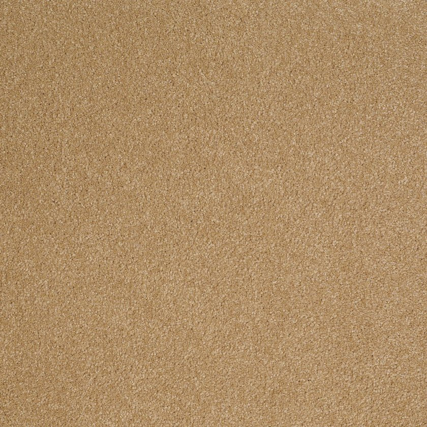 SANDY HOLLOW CLASSIC III 12'