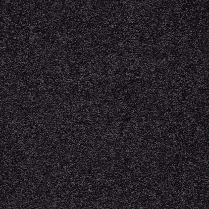 SANDY HOLLOW CLASSIC III 15'