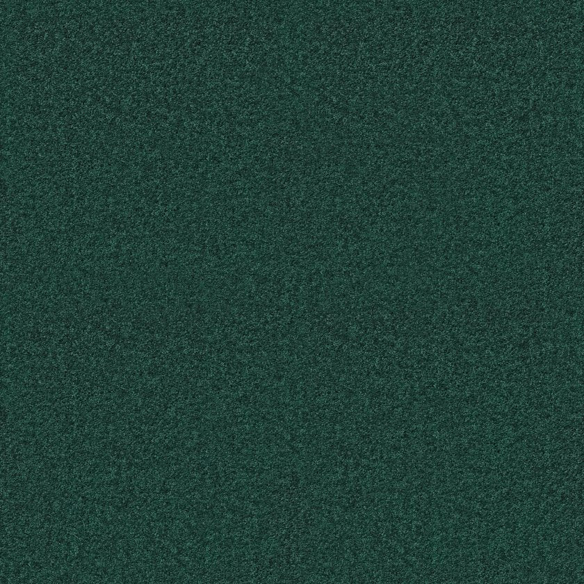 DYERSBURG CLASSIC 15'