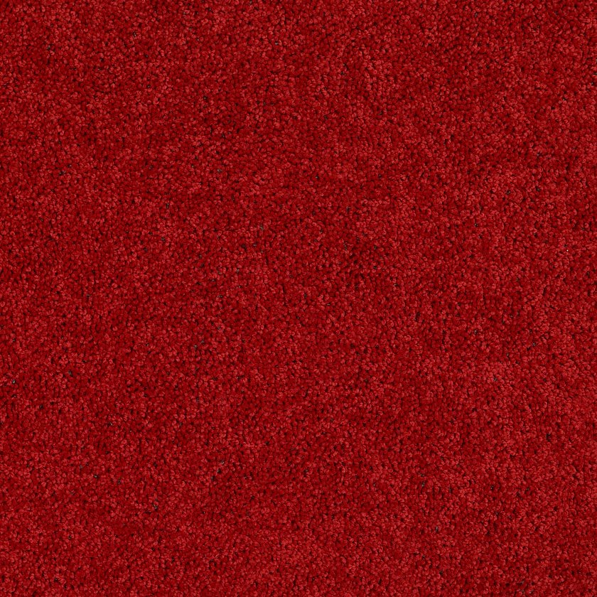 BRICEVILLE CLASSIC 15