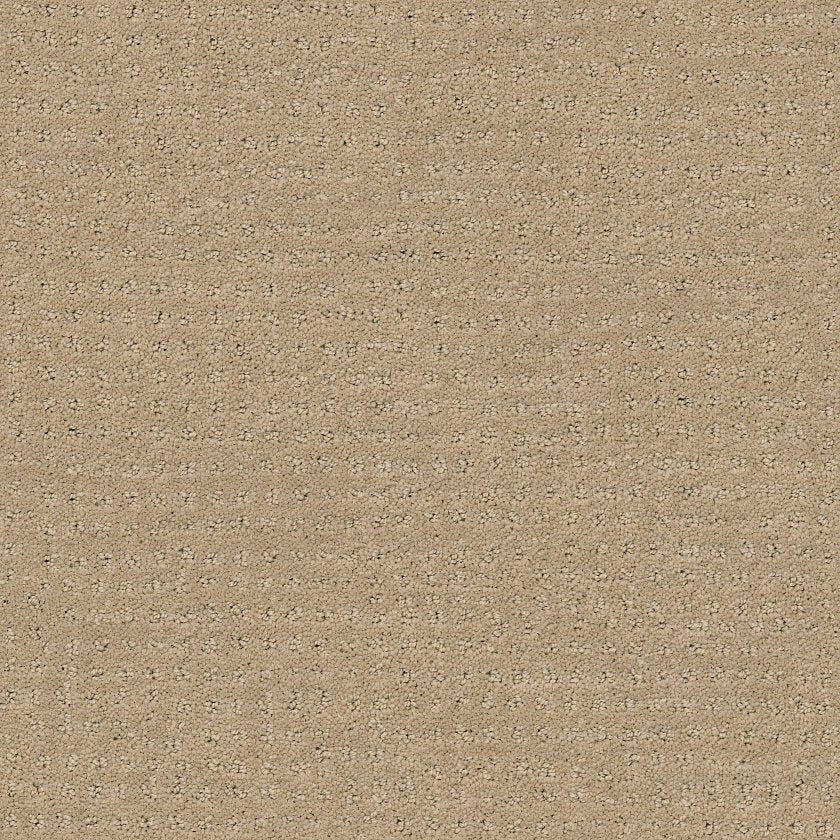 ALLURING DISPOSITION