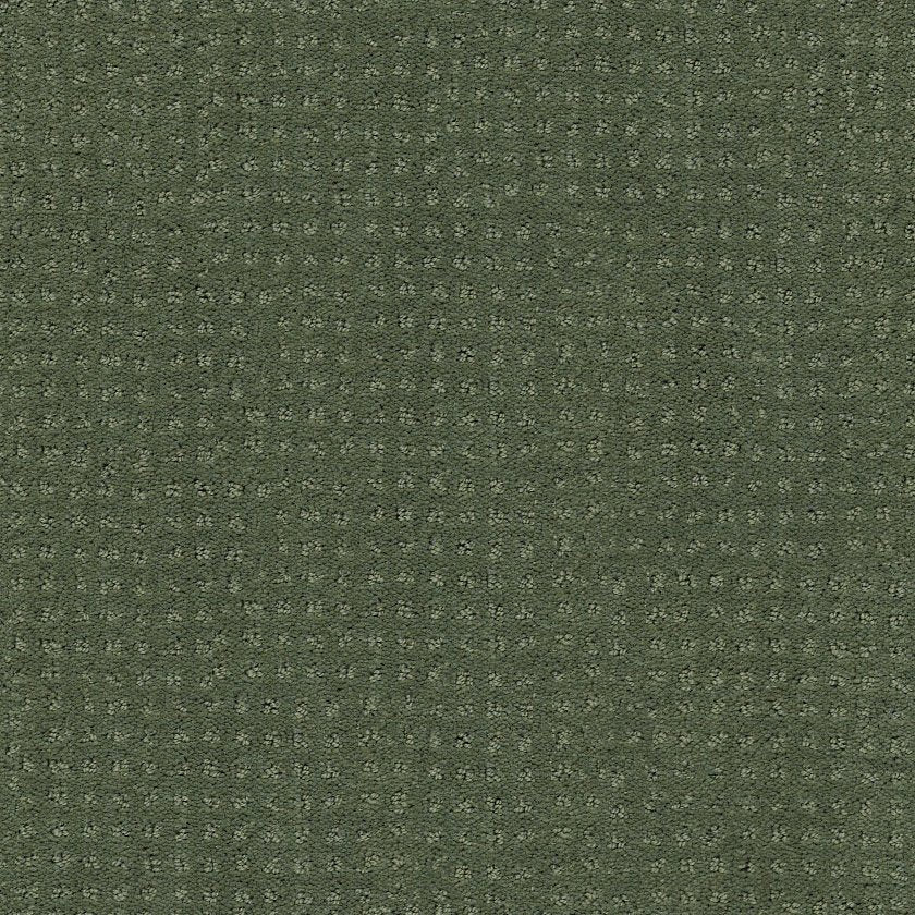 ALLURING DISPOSITION