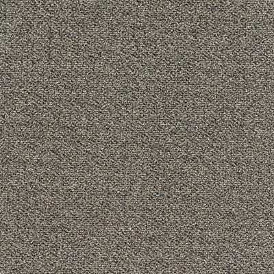Faculty Renewal GT368 - 24 in x 24 in Carpet Tile