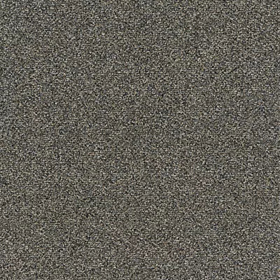 Faculty Renewal GT368 - 24 in x 24 in Carpet Tile