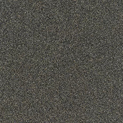 Faculty Renewal GT368 - 24 in x 24 in Carpet Tile