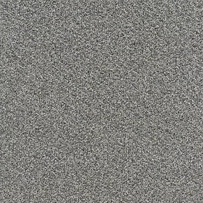 Faculty Renewal GT368 - 24 in x 24 in Carpet Tile