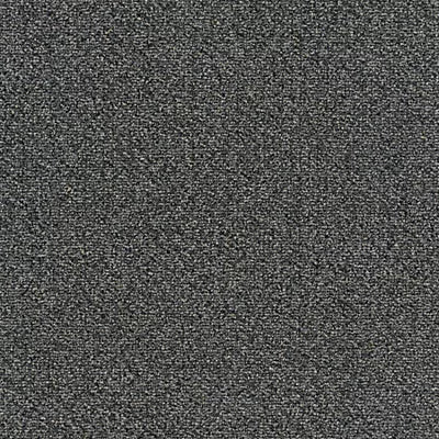 Faculty Renewal GT368 - 24 in x 24 in Carpet Tile