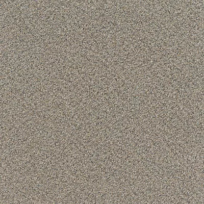 Faculty Renewal GL368 - 12 ft Broadloom