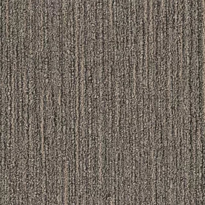 Color Balance II GT371 - 12 in x 36 in Carpet Tile