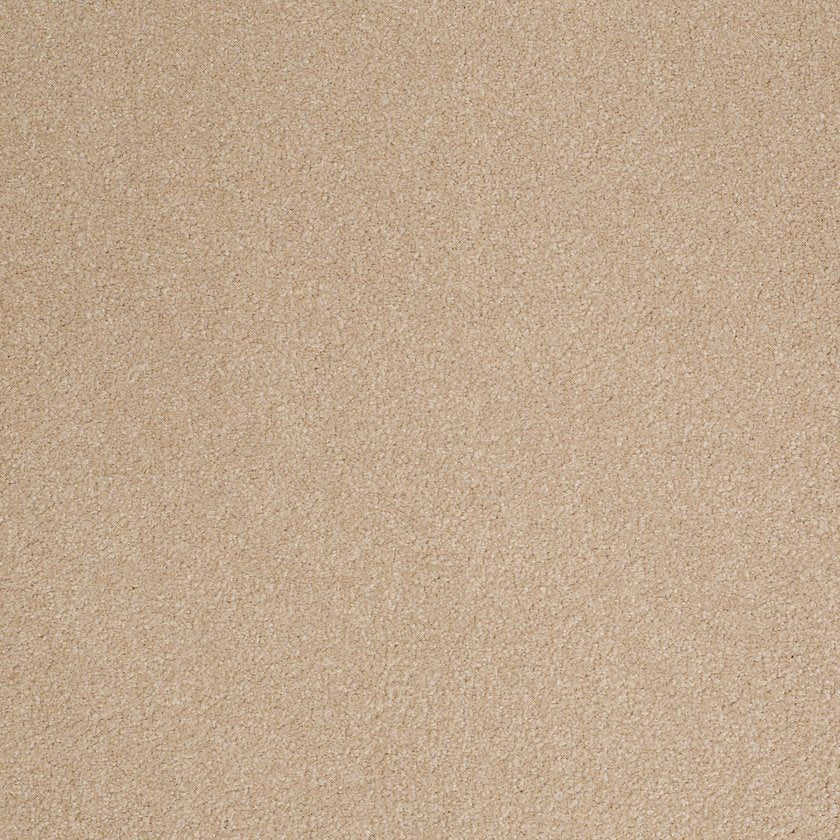 SANDY HOLLOW III 12'