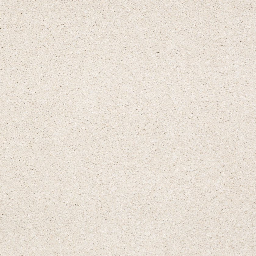 TIMELESS APPEAL III 12'