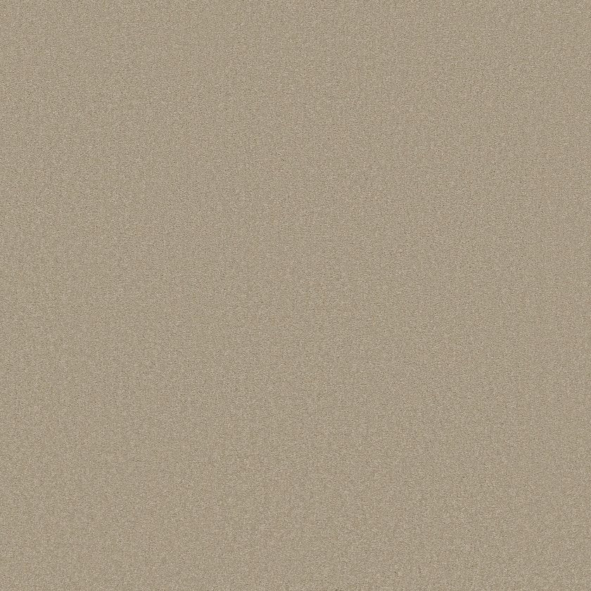 TIMELESS APPEAL III 12'