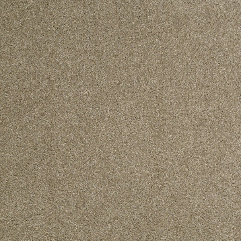 TIMELESS APPEAL III 12'