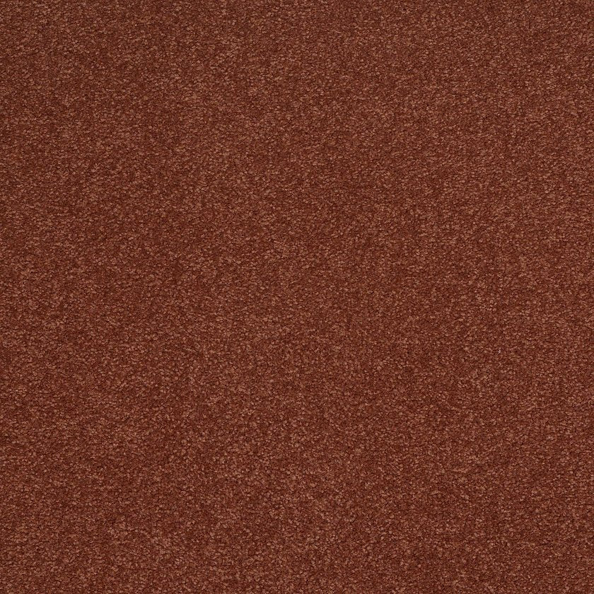 TIMELESS APPEAL III 12'