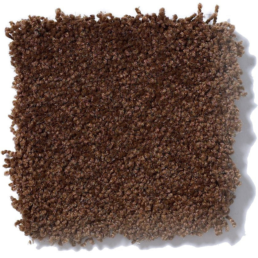 TIMELESS APPEAL III 12'