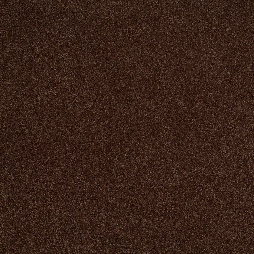 TIMELESS APPEAL III 12'