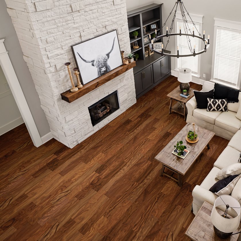 Vera Mar Short Leaf Acacia