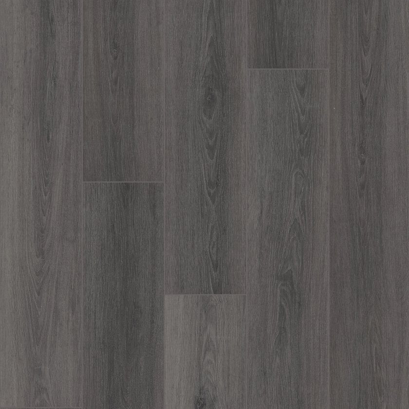 PARAGON 7" PLUS