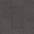PARAGON TILE PLUS