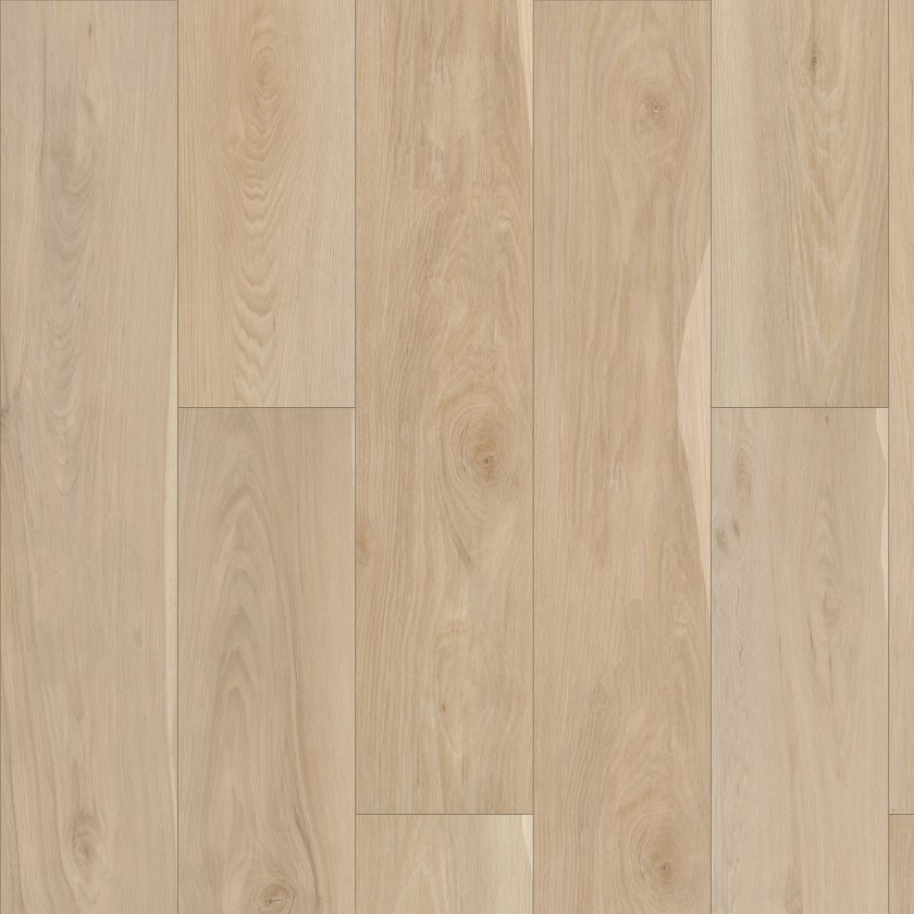 PANTHEON HD+ NATURAL BEVEL
