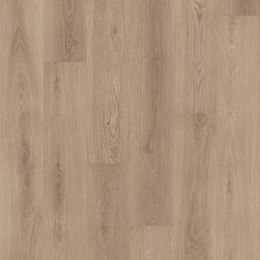 PANTHEON HD+ NATURAL BEVEL