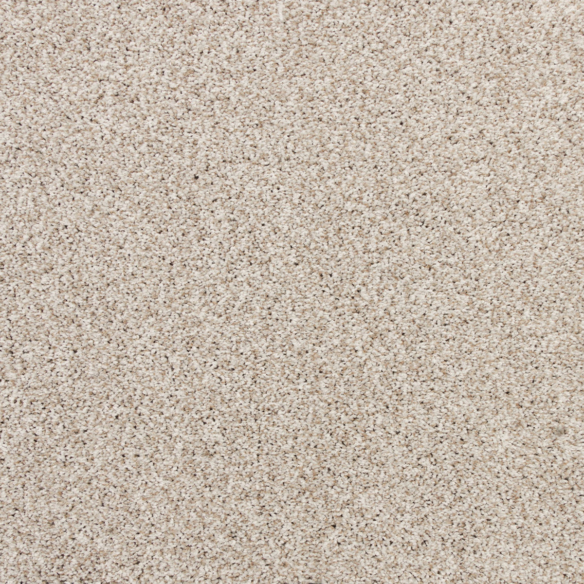 Apollo Bay SmartStrand Carpet - Casino