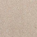 Apollo Bay SmartStrand Carpet - Compartment