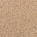 Apollo Bay SmartStrand Carpet - Jansil