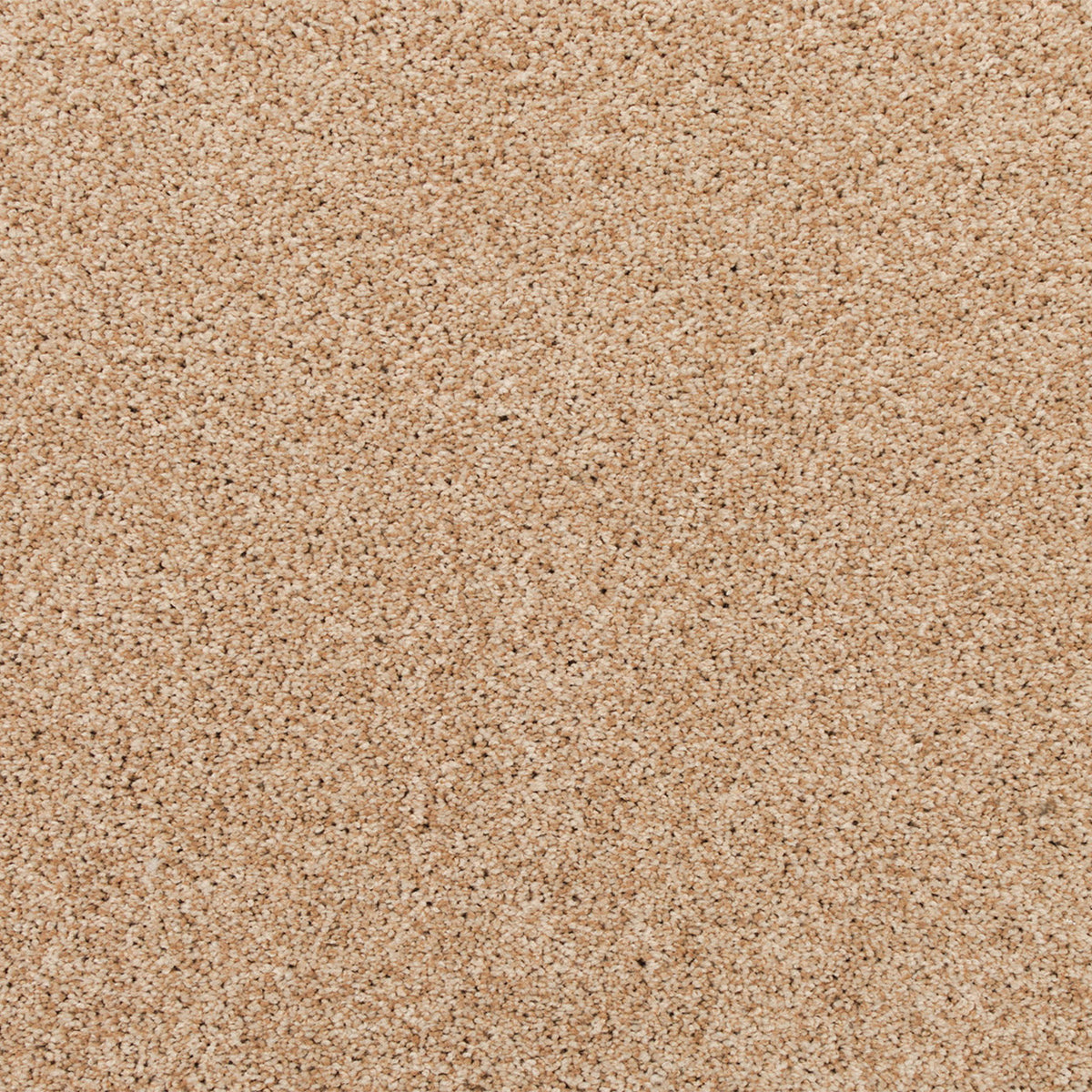 Apollo Bay SmartStrand Carpet - Jansil