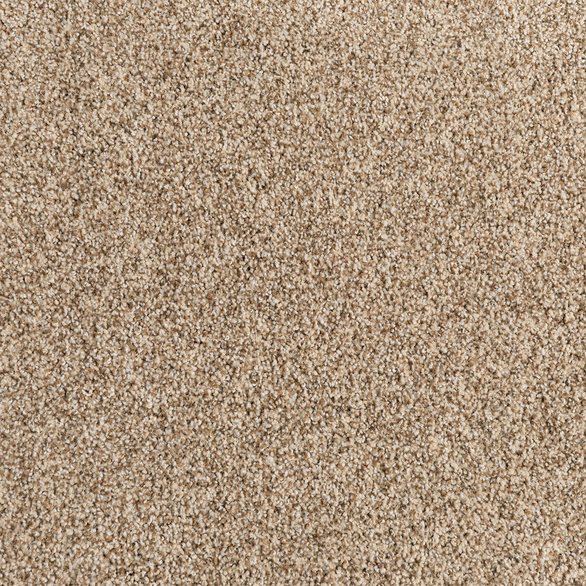 Cosmic EverLux Nylon Carpet - Interstellar