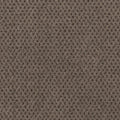 Timeless Effects SmartStrand Carpet - Enduring