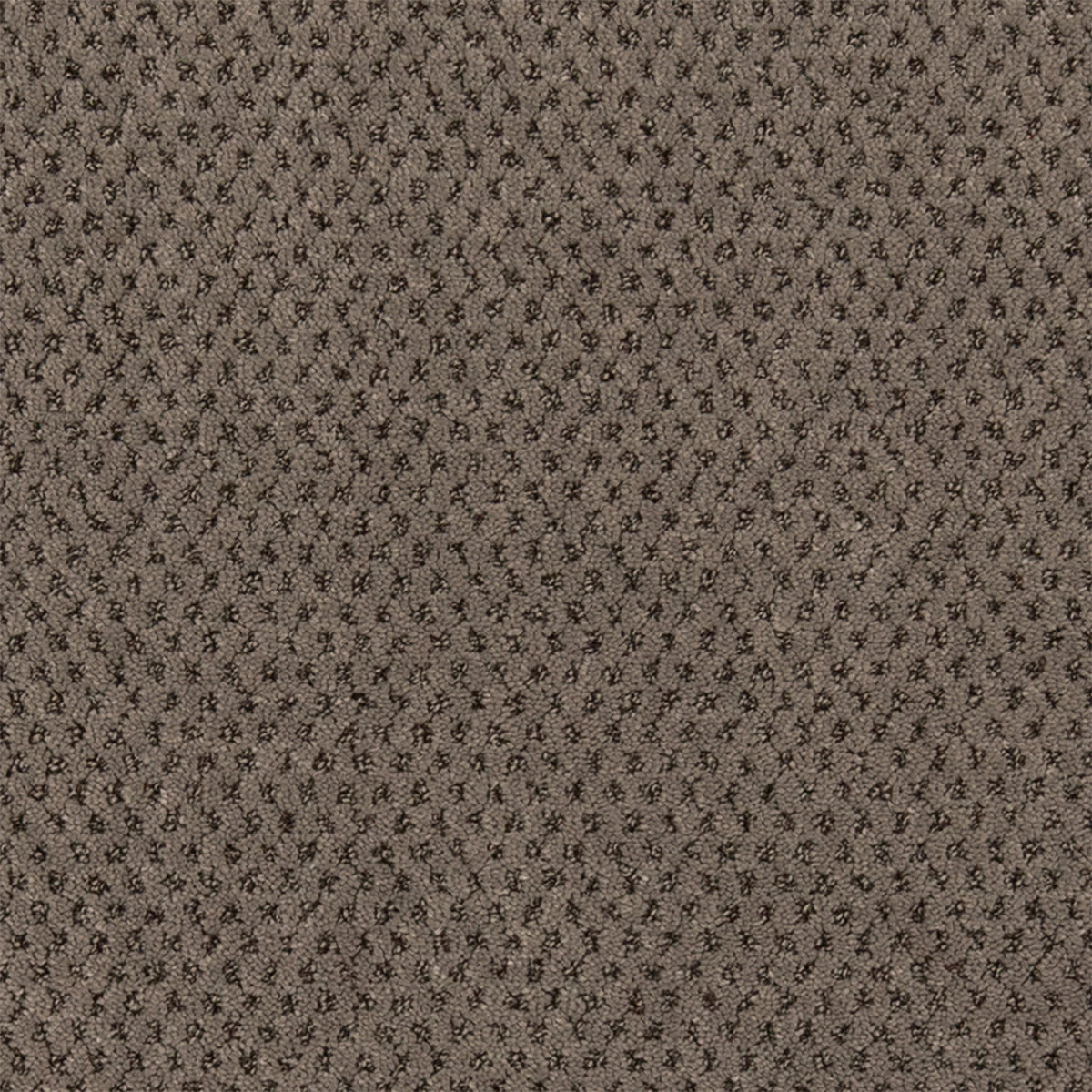 Timeless Effects SmartStrand Carpet - Enduring