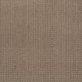 Enduring Statement SmartStrand Carpet - Cross Country