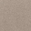 Timeless Effects SmartStrand Carpet - Zest