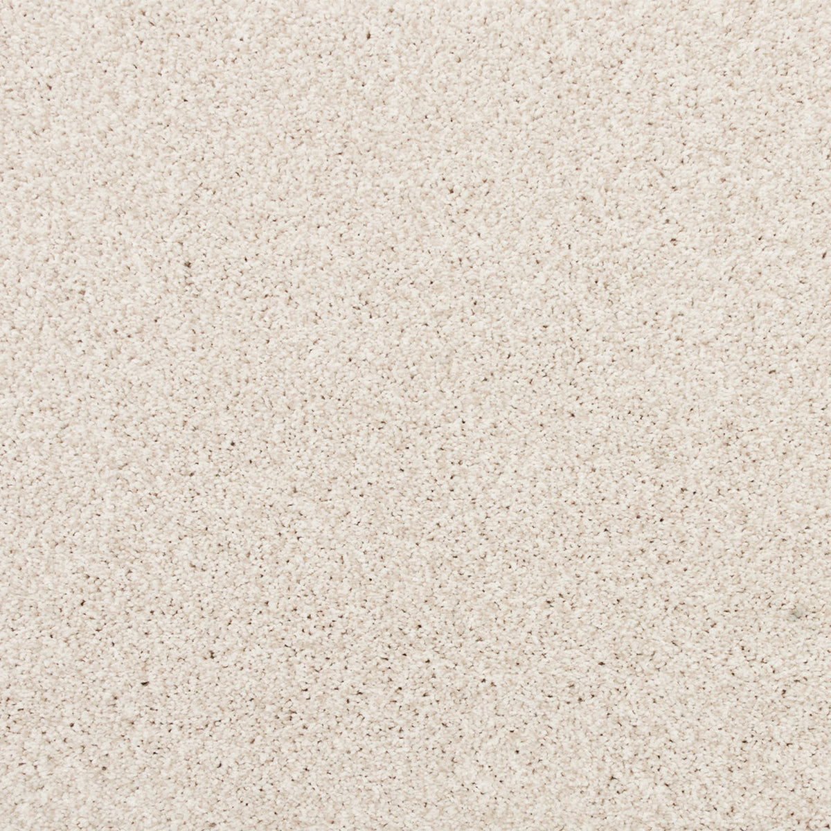 Apollo Bay SmartStrand Carpet - Biddles